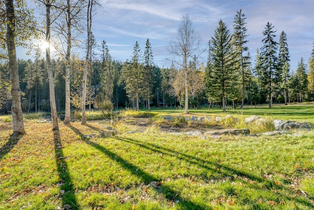 2870 US Highway 93 W, Whitefish, MT 59937 - view of yard