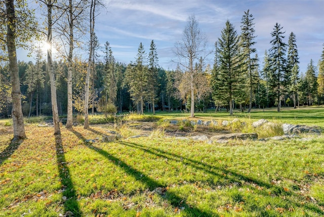 2870 US Highway 93 W, Whitefish, MT 59937 - view of yard with a forest view