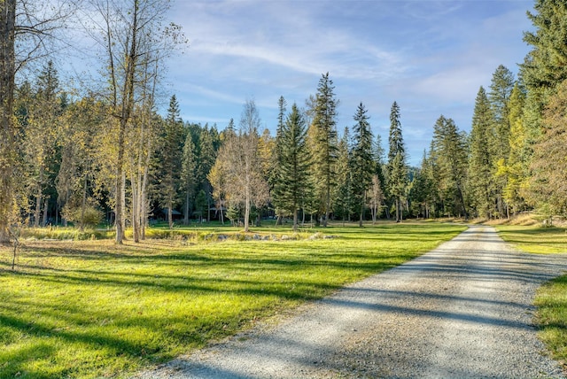 2870 US Highway 93 W, Whitefish, MT 59937 - view of dirt / gravel road with a forest view