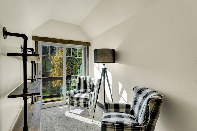 2870 US Highway 93 W, Whitefish, MT 59937 - sitting room featuring carpet flooring and vaulted ceiling