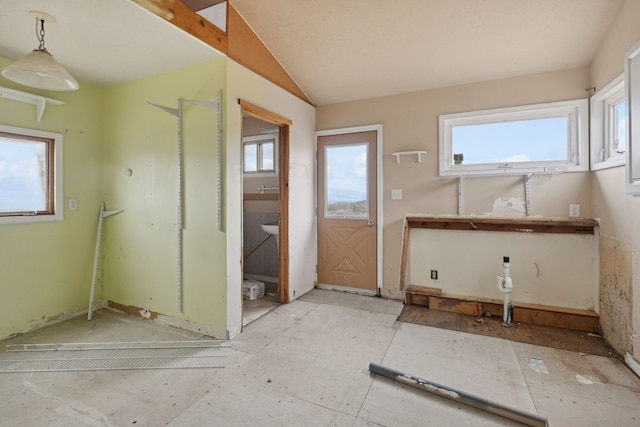 bathroom featuring vaulted ceiling and a healthy amount of sunlight