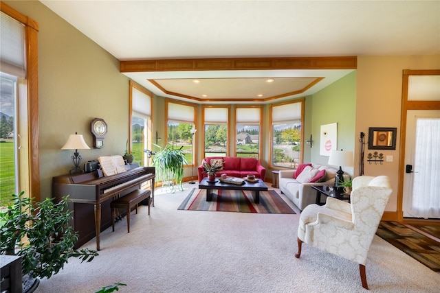 view of carpeted living room