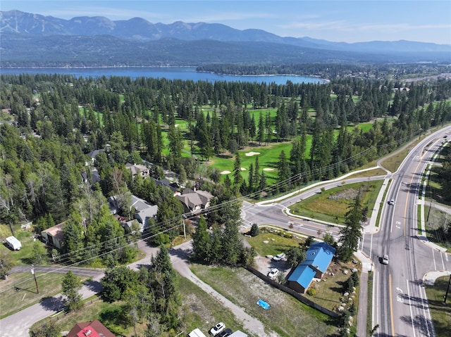 bird's eye view featuring a water and mountain view