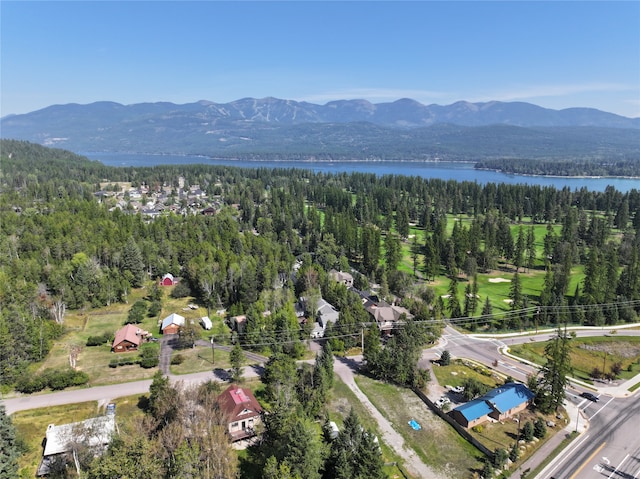 bird's eye view with a water and mountain view