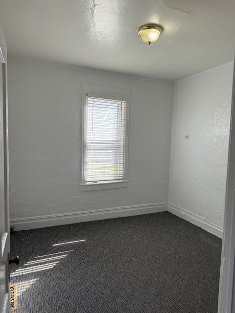 empty room with dark colored carpet