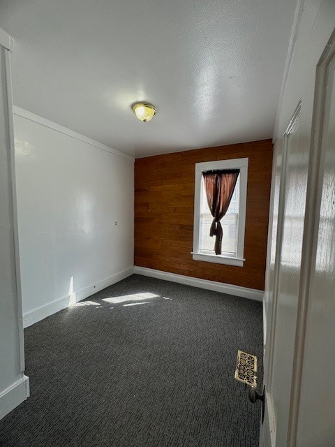 empty room featuring wood walls and dark colored carpet