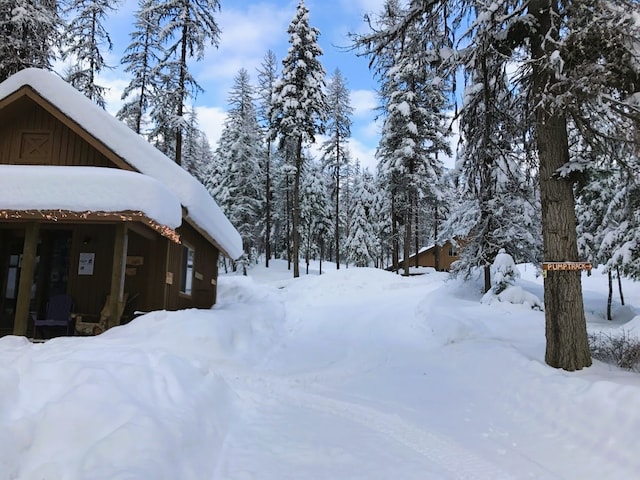 view of yard covered in snow