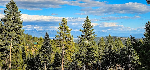 670 Triplett Rd, Kalispell, MT 59901