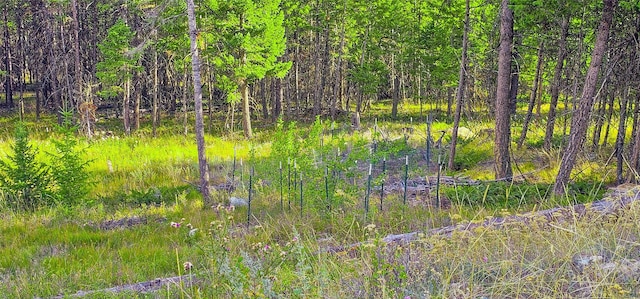 670 Triplett Rd, Kalispell, MT 59901