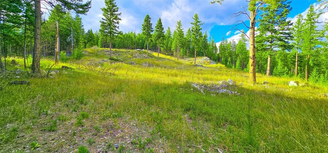 670 Triplett Rd, Kalispell, MT 59901