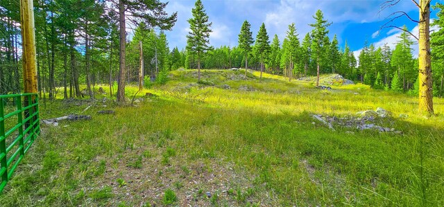 670 Triplett Rd, Kalispell, MT 59901