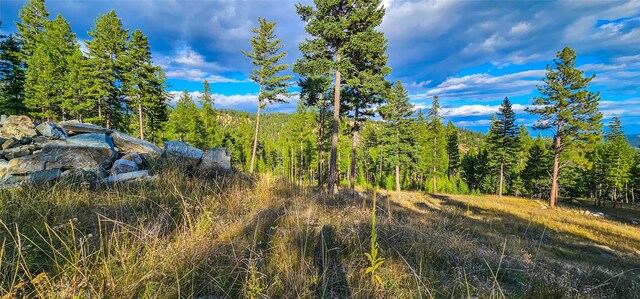 670 Triplett Rd, Kalispell, MT 59901