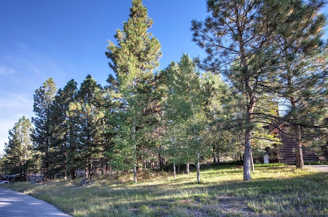 Listing photo 3 for 695 Pallo Trl, Hamilton MT 59840