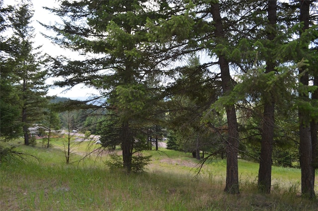 197 Walking Coyote Dr, Kalispell, MT 59901