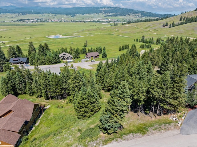197 Walking Coyote Dr, Kalispell, MT 59901