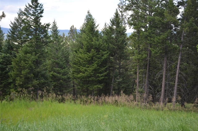 197 Walking Coyote Dr, Kalispell, MT 59901