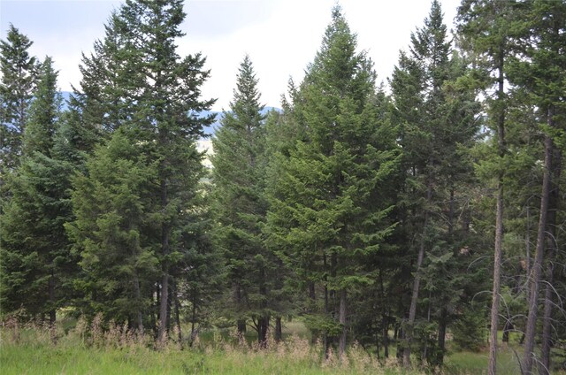 197 Walking Coyote Dr, Kalispell, MT 59901