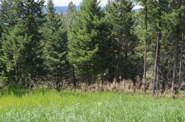 197 Walking Coyote Dr, Kalispell, MT 59901