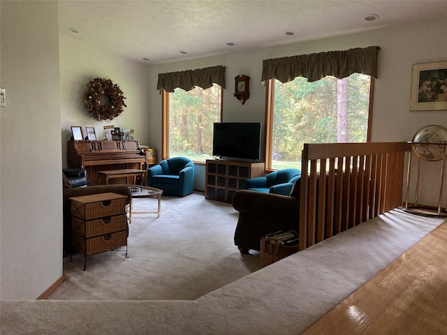 carpeted living room with plenty of natural light