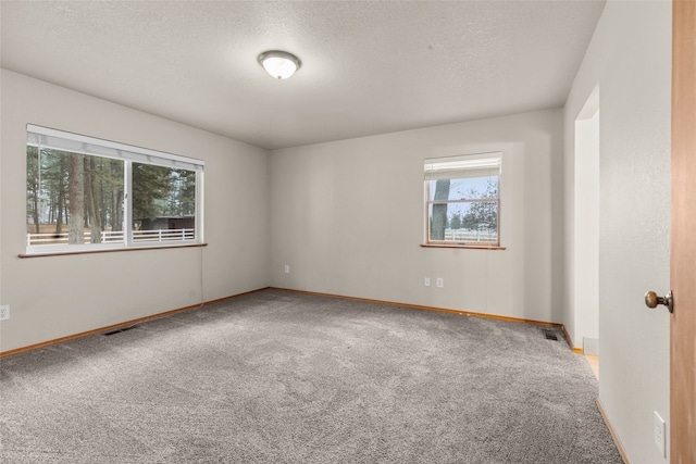 empty room with carpet flooring and a textured ceiling