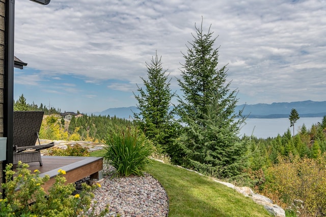 view of yard featuring a mountain view
