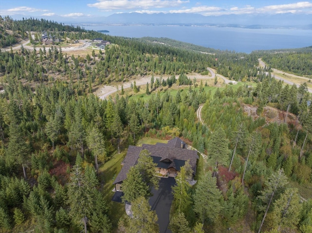 bird's eye view featuring a water and mountain view and a wooded view