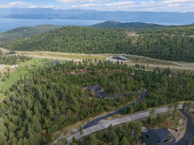 bird's eye view featuring a view of trees and a mountain view
