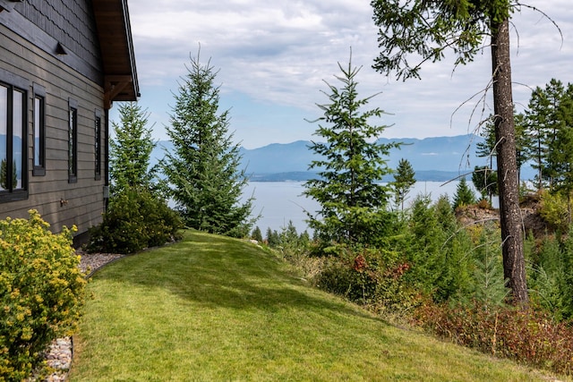 view of yard featuring a water and mountain view