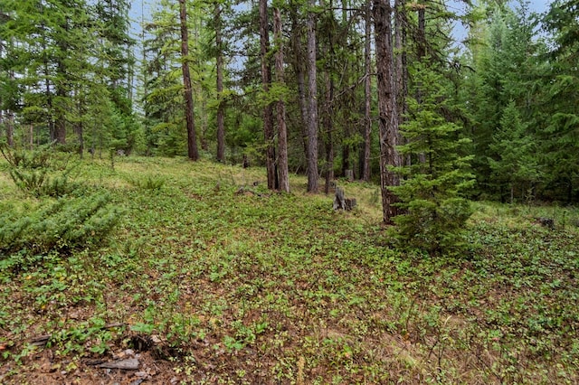 NHN Bear Trap Rd, Rexford MT, 59930 land for sale