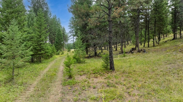 ParcelA Rivers Edge Lane, Eureka, MT 59917