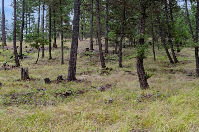 ParcelA Rivers Edge Lane, Eureka, MT 59917
