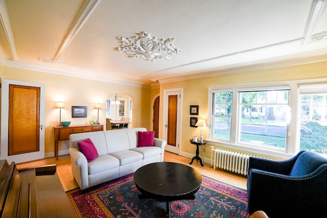 living room featuring ornamental molding, radiator, and light hardwood / wood-style flooring