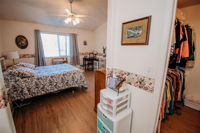 bedroom featuring ceiling fan, a closet, wood-type flooring, and a walk in closet