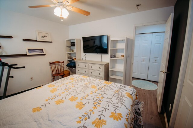 bedroom with a closet, ceiling fan, and hardwood / wood-style floors