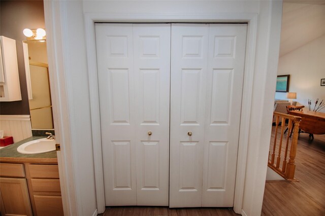 bathroom featuring vanity, hardwood / wood-style floors, and an enclosed shower