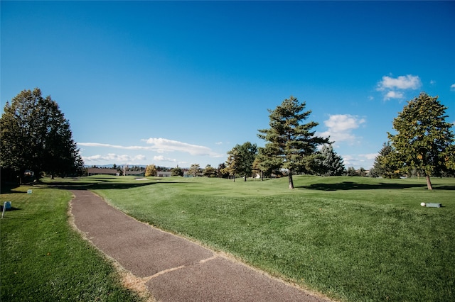 surrounding community featuring a yard