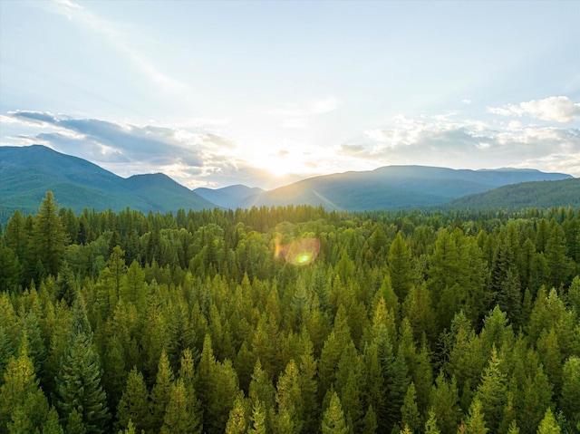 775 Trail Creek Rd, Polebridge, MT 59928
