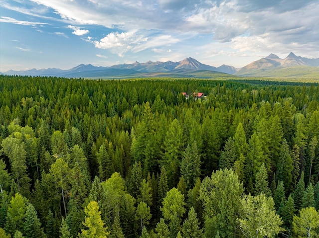 775 Trail Creek Rd, Polebridge, MT 59928
