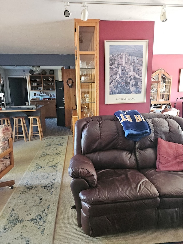 carpeted living room featuring rail lighting