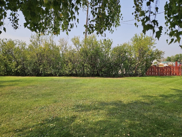 214 Laura St, Augusta, MT 59410 - view of yard