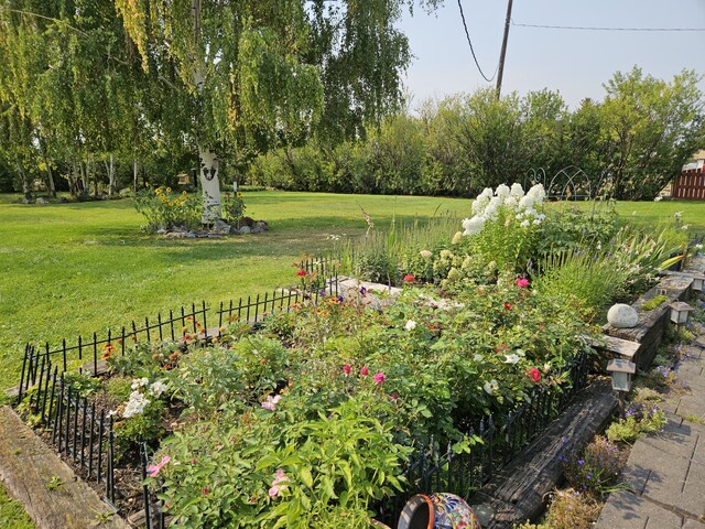 214 Laura St, Augusta, MT 59410 - view of yard featuring a garden