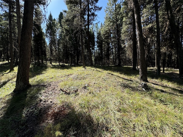 643 Stagecoach Dr, Seeley Lake MT, 59868 land for sale