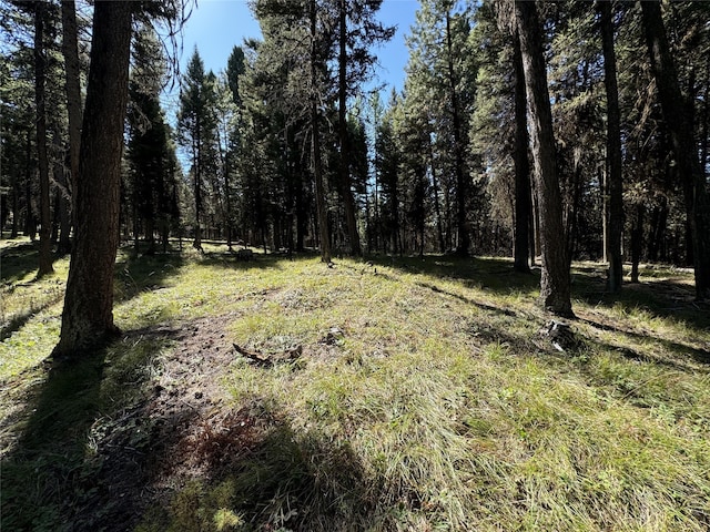 643 Stagecoach Dr, Seeley Lake, MT 59868