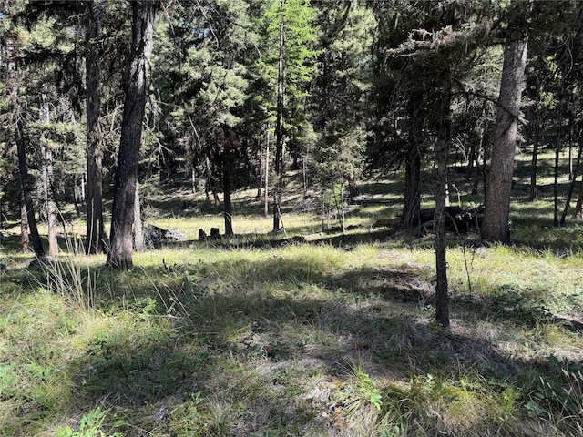 643 Stagecoach Dr, Seeley Lake, MT 59868