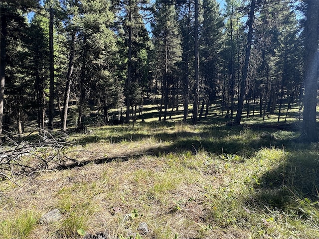 643 Stagecoach Dr, Seeley Lake, MT 59868