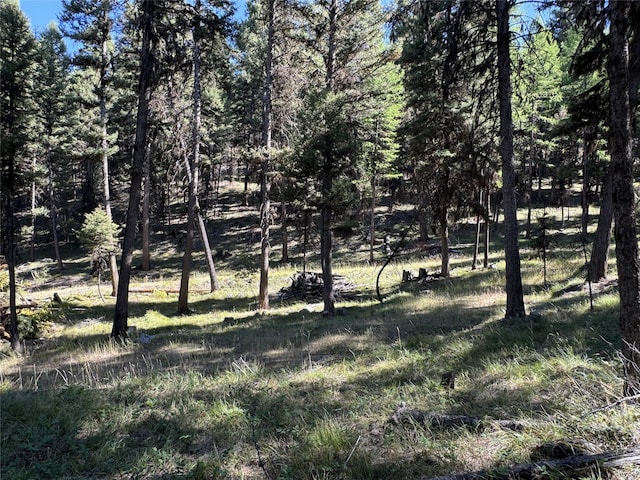 643 Stagecoach Dr, Seeley Lake, MT 59868