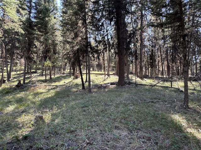 643 Stagecoach Dr, Seeley Lake, MT 59868