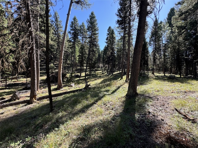 643 Stagecoach Dr, Seeley Lake, MT 59868