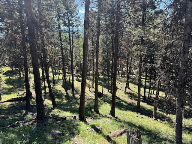 643 Stagecoach Dr, Seeley Lake, MT 59868
