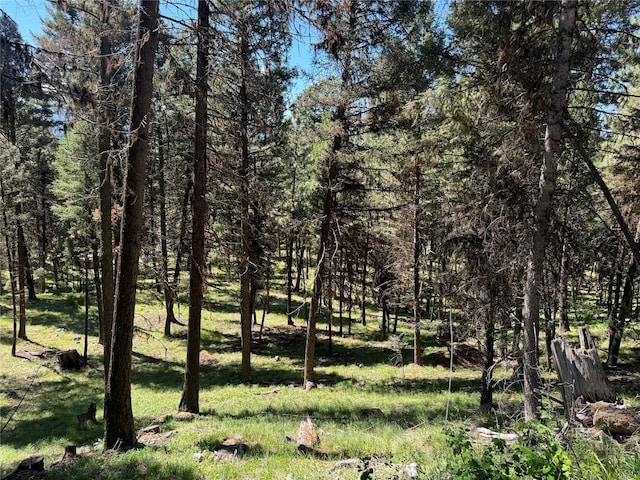 643 Stagecoach Dr, Seeley Lake, MT 59868
